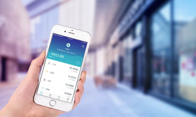 ImToken钱包与交易所钱包差异探讨，深度解析二者的区别与特点